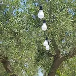 Lägenhet Valle Degli Ulivi By Interhome Ostuni