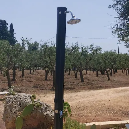 公寓 Valle Degli Ulivi By Interhome