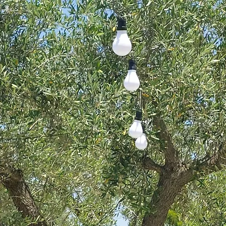 Apartman Valle Degli Ulivi By Interhome Ostuni
